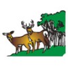 Deer in Hardwoods+$128.00